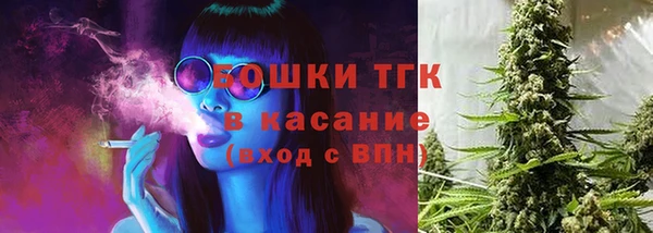 mix Богородицк